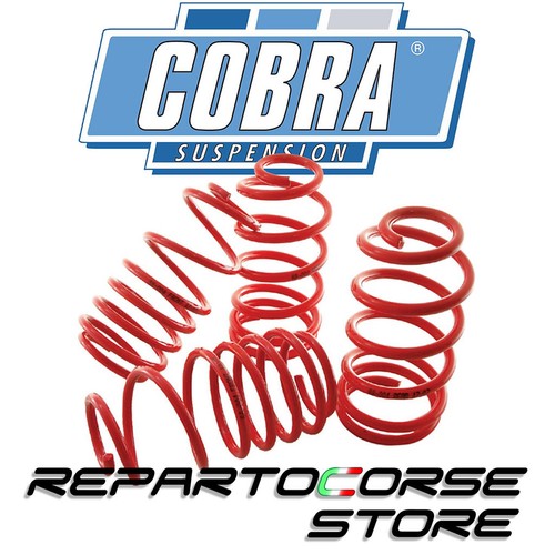 Molle cobra renault - renault, 19